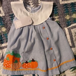 BNWT Lil Cactus Seersucker Pumpkin Baby Dress